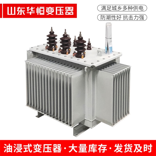 S13-10000/35达孜达孜达孜油浸式变压器厂家